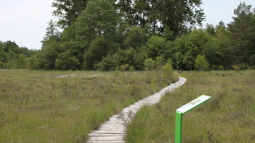 Site de la Tourbière