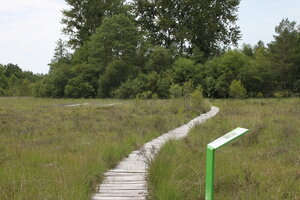 Site de la Tourbière