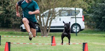 Association canine Neuvycéenne